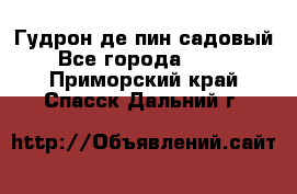 Гудрон де пин садовый - Все города  »    . Приморский край,Спасск-Дальний г.